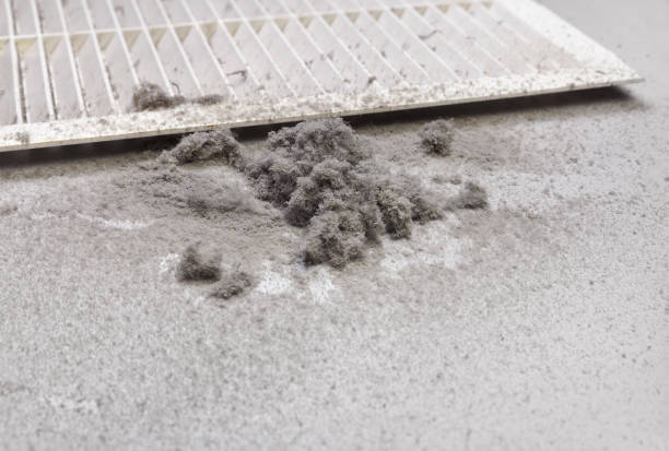 Best Home Air Vent Cleaning  in Princevle, IL