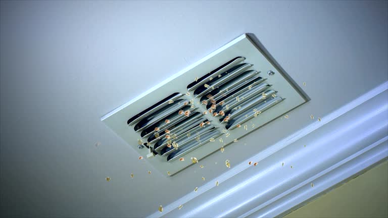Best Affordable HVAC Duct Cleaning  in Princevle, IL