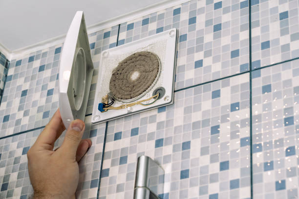 Best HVAC Air Duct Cleaning  in Princevle, IL