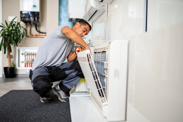 Best Residential Air Duct Cleaning  in Princevle, IL